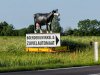 Achterhoekse zuivelmakers week lang in de spotlights