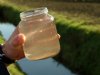 Waterschap gaat bollentelers controleren na vondst overschot aan ontsmettingsmiddelen