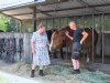 Bij Zorgstal Helvoirt boeren ze op een andere manier