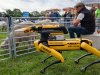 Robot als waakhond voor gezondheid schaap