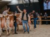 Beste koeien op Nationale Roodbont Show