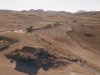 Documentaire Eat More Trees schetst radicale omslag