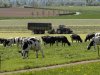 2,5 miljoen euro voor watermaatregelen op Limburgse landbouwgrond