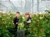 ‘Mannen zijn echt een verstoring op de bloemenmarkt’