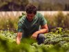Future Harvest: nieuw Europees programma stimuleert de nieuwe generatie boeren in Nederland