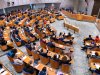 Stikstofplannen moeten nog komen, maar Tweede Kamer probeert al te sturen