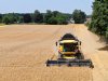 Noodrijpe wintergerst brengt 6 ton per hectare op
