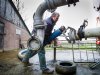 Verdere daling fosfaatproductie onvoldoende om onder plafond te komen