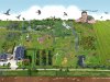 Agrarisch natuur- en landschapsbeheer moet uitgroeien tot goed en structureel verdienmodel