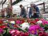 Sierteeltsector noemt btw-verhoging contraproductief