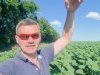 Oekraïne-vlogger Kees Huizinga: ‘De zonnebloemen komen al tot aan mijn middel’