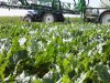 Herbeoordeling PFAS-middelen duurt actiegroep PAN-NL te lang