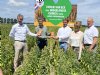 Jumbo verkoopt alleen nog biologische quinoa van Nederlandse bodem