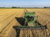 Wintergerst kwalitatief goed, stroprijzen lopen uiteen