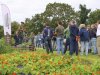 Pijlers regeneratieve landbouw staan, nu de praktische invulling nog