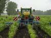 Mais op afstand geeft groenbemester lucht