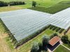 Gemeente Overbetuwe wil regels hagelnetten versoepelen