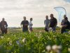 Droogte houdt phytophthora voorlopig in toom