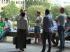 Emoties lopen hoog op bij Brabantse pluimveehouders