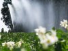 Aardappelen slijten hard door aanhoudende droogte