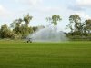 Brabants waterschap ziet zestien overtredingen van droogtemaatregelen