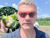 Oekraïne-vlogger Kees Huizinga: ‘Rondje langs gewassen: bloemkolen zijn super!’