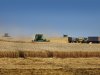 Mogelijke toetreding van Oekraïne zet landbouw aan het rekenen