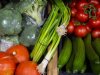 Tuinbouw is strategische topsector voor Nederlandse economie