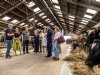 Na jarenlang meten willen Zuid-Hollandse boeren nu erkenning
