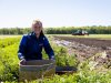 Droogte bestrijden met regelbare drainage