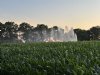 Waterschap Amstel, Gooi en Vecht stelt overdag beregeningsverbod in