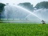 Waterschap Aa en Maas breidt onttrekkingsverbod verder uit