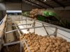 Aardappelmarkt sluit boek over 2025, prijzen stabiliseren