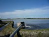 Verbod op inundatie landbouwgrond IJsselmeergebied ondanks regen