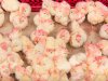 Hendrix Genetics neemt Portugese broederij over
