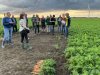 Bladbehandelingen houden loof biopeen goed gezond