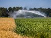 Tijdelijk water voor tuinders Westland, aanscherping rond de Veluwe