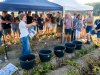 Aardappeldemo’s bieden telers nieuwe inzichten