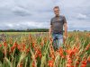 ‘Vroeger regende het nog weleens, nu moet ik alles beregenen’