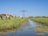 Friesland kan en wil nieuwe stikstofmaatregelen niet uitvoeren