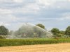 Rabobank waarschuwt voor kwetsbare aardappelketen