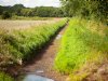 Droogte neemt iets af, maar herstel watersysteem duurt nog maanden