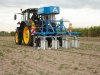 Electro Weeder laat ook wortelonkruid snel verslappen