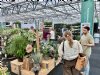 Klimaatadaptie en Amerikaanse planten met Boskoops bloed