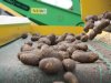 Aardappelmarkt heeft balans gevonden met prijzen tot 32,50 euro per 100 kilo