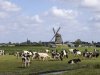 ‘Doorrekening PBL bevestigt noodzaak voor forse verbetering stikstofpakket’