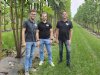 Van pionieren naar praktijkteelt met Paulowniabomen