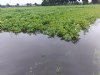Zoet water krijgt dubbele impuls in Zeeland