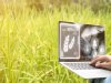 WUR wil AI-eilandjes in Europese Unie verbinden
