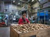 ‘AI gaat de akkerbouw helpen om grote stappen te maken’
